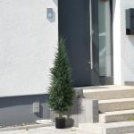 Konstgjord Cypress med 638 Plastblad i Kruka, UV-beständig, Grön