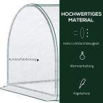 Växthus med Dörr, Kallram, Stål och Plast, 250 x 100 x 80 cm, Grön