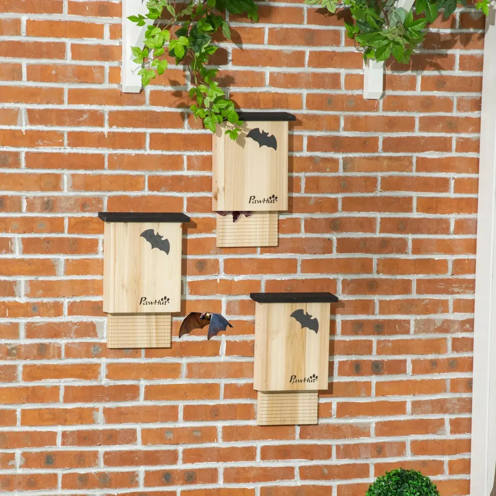 Fladdermushus 3-pack med Yta Hållbar 20 x 15 x 30 Cm
