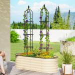 Spaljé Trädgård 2-Pack Svart Stål för Klätterväxter Robust Växtstöd Obeliskform för Rosor och Murgröna Väderbeständig 174 cm