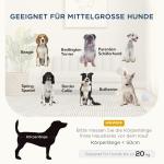 Hundsäng Hundstol Grå av Imitationslinne och Metall för Medelstora Hundar Bekväm Upphöjd Husdjurssoffa med Mjuk Kudde