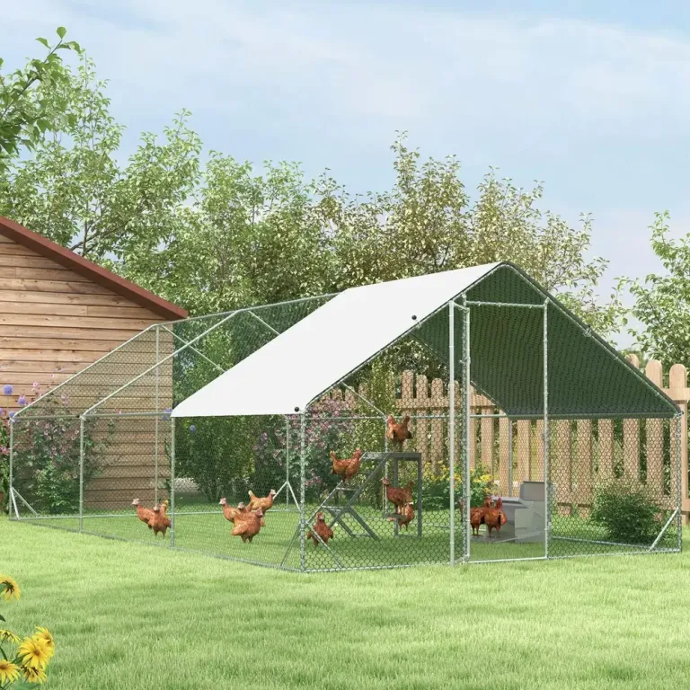 Stor Hönsgård med Tak XXL Rymlig Utegård 3 x 6 x 2 M