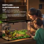Glasterrarium för Reptiler, Rymlig Matningslåda med Metallnät, Säkert Hem för Reptiluppfödning, Transparent, 50 x 30 x 35 cm