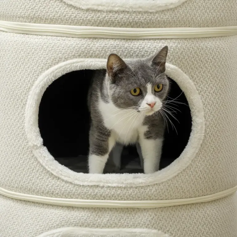 Klöstunna 4 Våningar med Kattgrottor, Beige