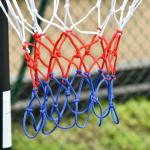 Basketstativ Basketkorg Svart av Stål och Plast för Utomhusbruk Höjdjusterbart Stativ med Hjul 160-210 cm