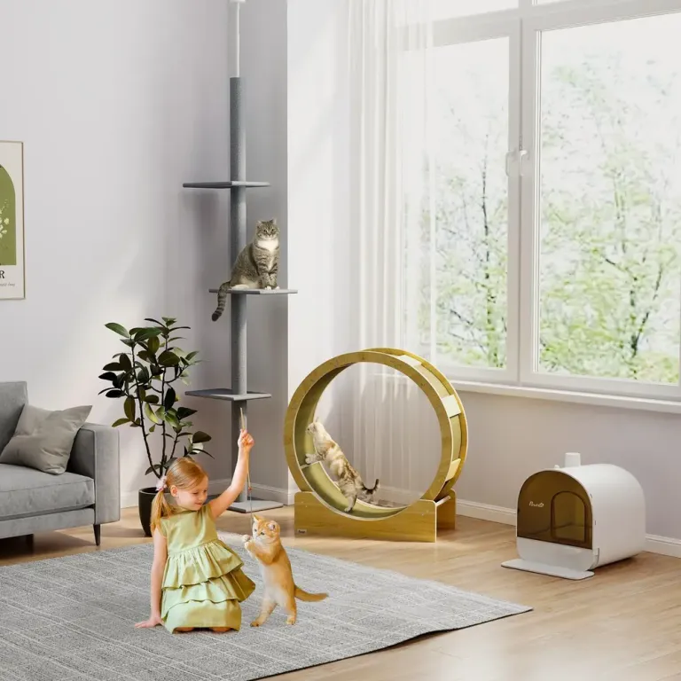 Katthjul Träningshjul Natur av Ek och Sisal 91 cm