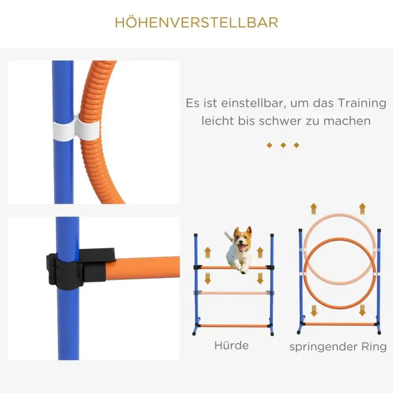 Agility Träningsset Hundsport Blå Gul av Plast för Hundar