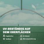 Växthus Tunnel Grön PE-plast och Stål för Trädgård Odlingshus 6 kvm med Dörr och Fönster Väderbeständigt Skydd 300x200x200 cm