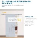 Skjutdörr i Glas för Inomhusbruk Platsbesparande Rumsavdelare Delvis Satinerat Glas Aluminium Inkl. Handtag 775/900/1025 X 2050 Mm