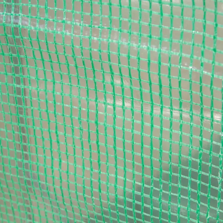 Rymligt Tunnelväxthus 4 Fönster 300 x 100 x 200 cm