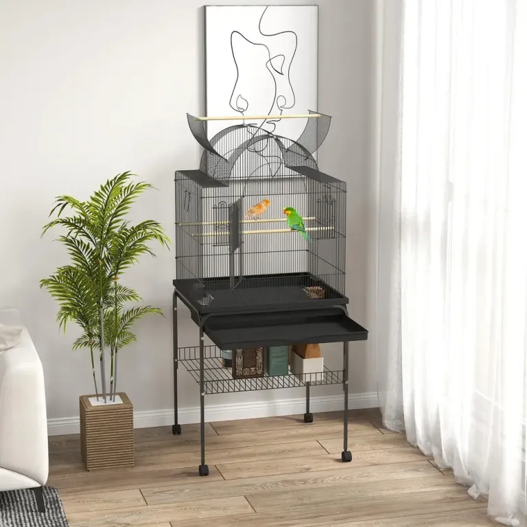 Fågelbur Undulatbur Svart av Stål 63 x 53 x 144 cm