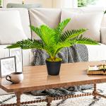 Konstgjord Tropisk Palm med Planteringskärl, Grön + Svart, 50 cm