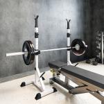 Set med 2 Hantelställ, 3 Nivåer, Höjdjusterbart, Stål, upp till 200 kg, Silver + Svart