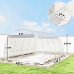 Växthus Tunnel Transparent PE-Plast och Stål för Trädgård Odlingshus med UV-Skydd och Dörr Rymligt och Stabilt Skydd för Odlingar