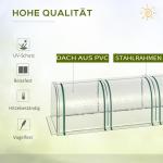 Litet Växthus i Tunnelmodell, Kompakt Drivhus med Folieöverdrag, Skyddar Småplantor och Örter, Transparent, 295 x 100 x 80 cm
