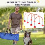 Agilityset Hundträning 5-Delad Blå Gul av Plast för Hundar Häckset med Agilitydörrar Koordinationsträning