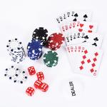 Pokerset Prisvärd Silver Aluminium för Spelkväll med 300 Marker och Tillbehör i Låsbart Fodral för Texas Holdem och Blackjack
