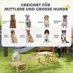 Dog Agility Set Hundträning med Bro och Trappor Natur av Granträ för Stora Hundar Agilityutrustning upp till 40 kg