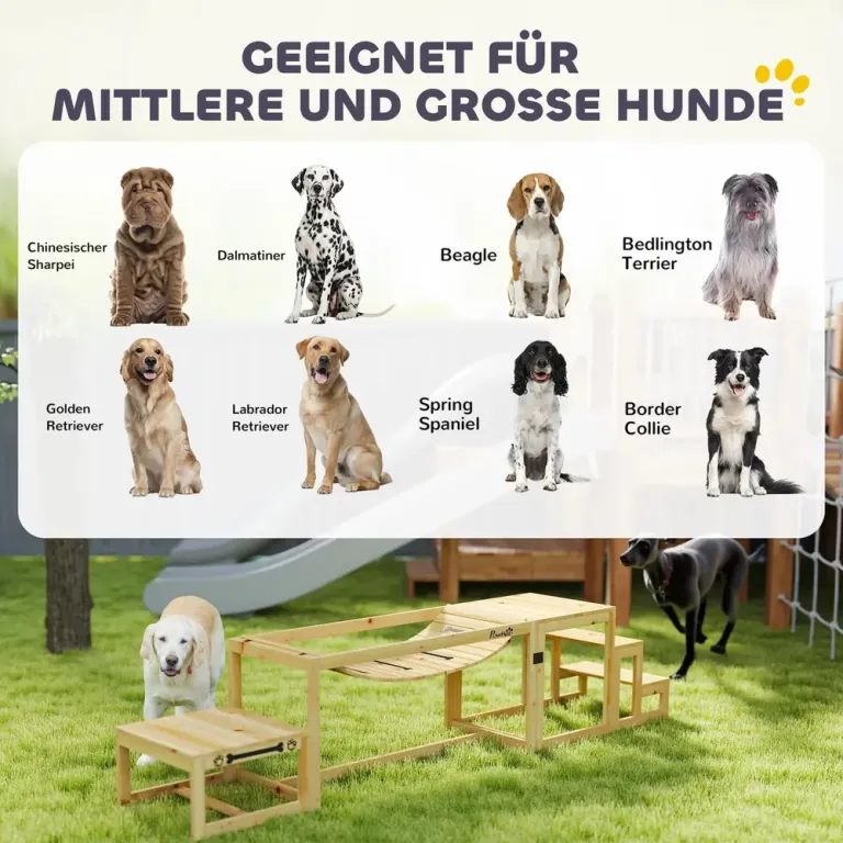 Dog Agility Set Hundträning med Bro och Trappor Natur