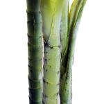 Konstgjord Palm i Kruka, Stor och Naturtrogen Konstväxt, Underhållsfri Dekoration för Hem och Kontor, Grön, 150 cm