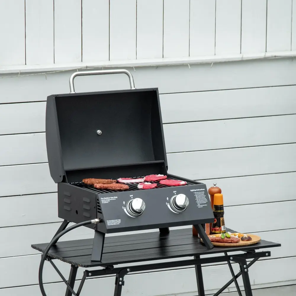 Gasolgrill 2 Brännare Hopfällbar 55 x 46,5 x 41 Cm