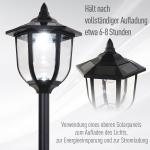 Solar Trädgårdslampa LED Trädgårdslykta 30/60 Lumen Svart Plast för Trädgård och Terrass Ø26,5 X H177 Cm