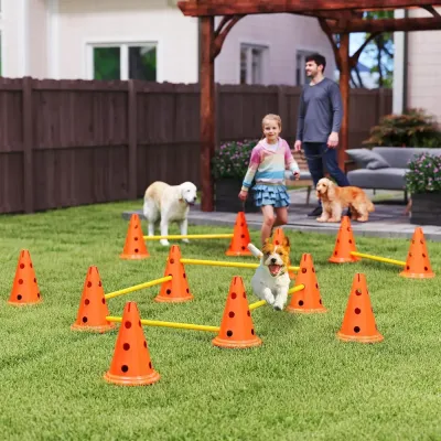 Agilityset Hundträning 6-Delad Blå Gul av Plast för Hundar