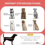 Hundsäng Hundstol Röd av Oxford Tyg för Stora Hundar Förhöjd Utomhussäng Andas 92 x 76 x 18 cm