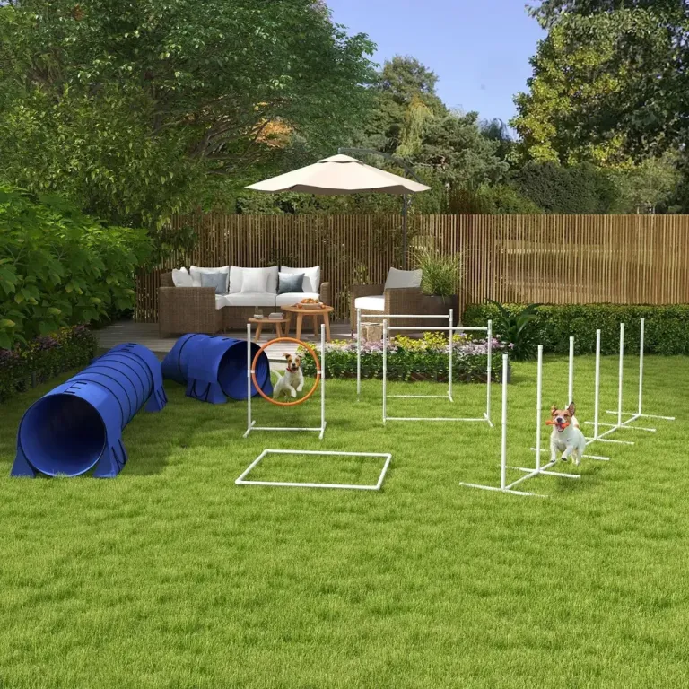 Agility Träningsset Hundsport Flerfärgad av Plast