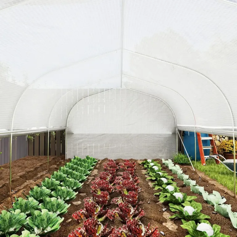 Växthus Filmtunnel 8 Fönster och Dörr Vit 6 x 3 x 2 m