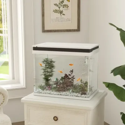 Akvarium Fisktank med Filtersystem Vit av Glas för Fiskar