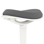 Kontorspall Pendelpall Grå av Mesh och Metall för Kontoret Ergonomisk Snurrstol Höjdjusterbar Bekvämt Arbete