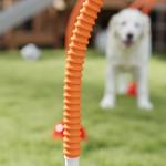 Agilityset för Hundar med 4 Justerbara Dörrar och Transportväska för Träning och Motion Hållbar och Säker Gul och Orange Plast